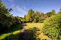 Z62_5885