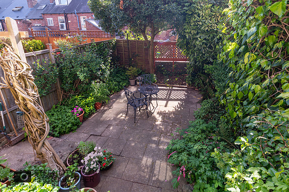 Z62_7197-HDR