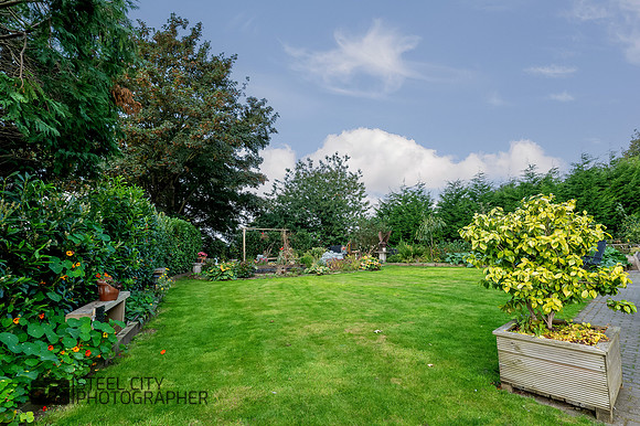 Z62_4133-HDR