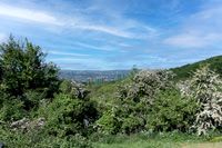 Z62_0023-Edit