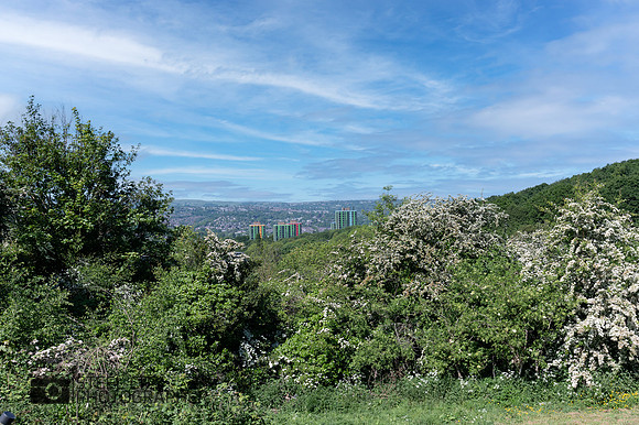 Z62_0023-Edit