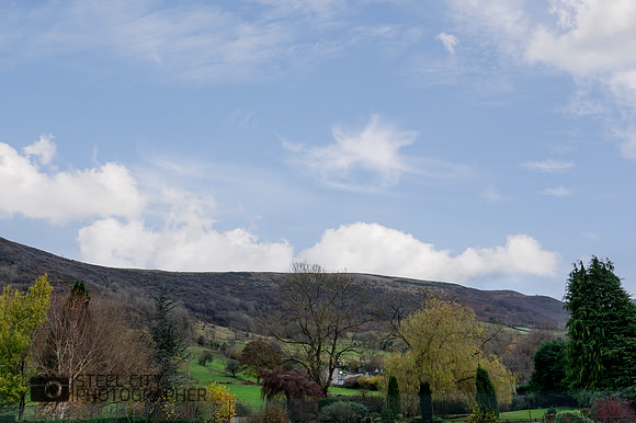 Z62_0123-HDR