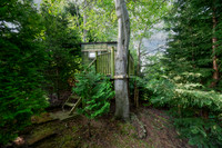 Z62_1713-Edit