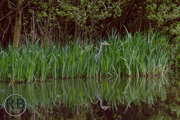 DSC_1838