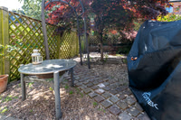 Z62_7481-HDR