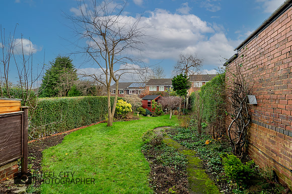 Z62_3819-HDR-2