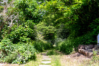 Z62_8826-HDR
