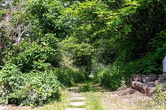 Z62_8826-HDR