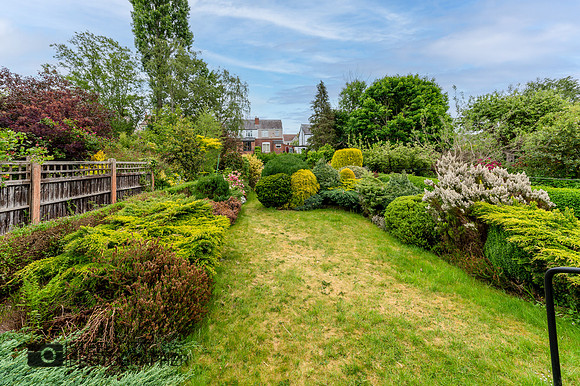 Z62_3378-HDR-Edit