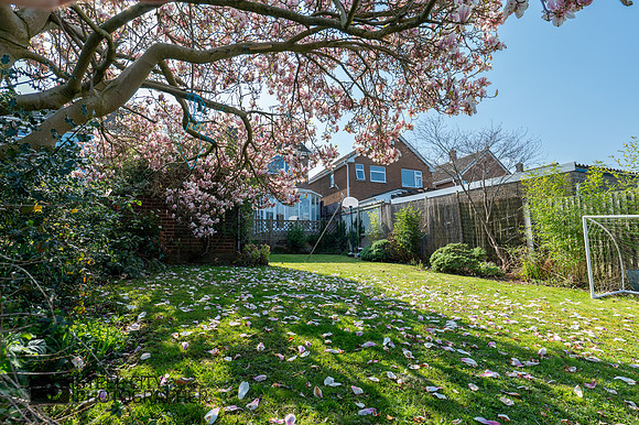 Z62_7175-HDR