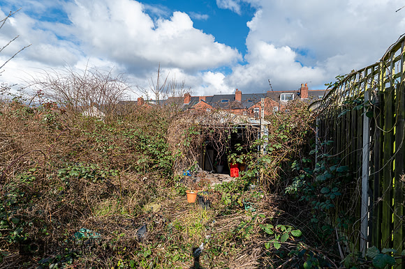 Z62_1337-HDR