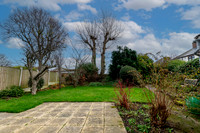 Z62_3711-HDR