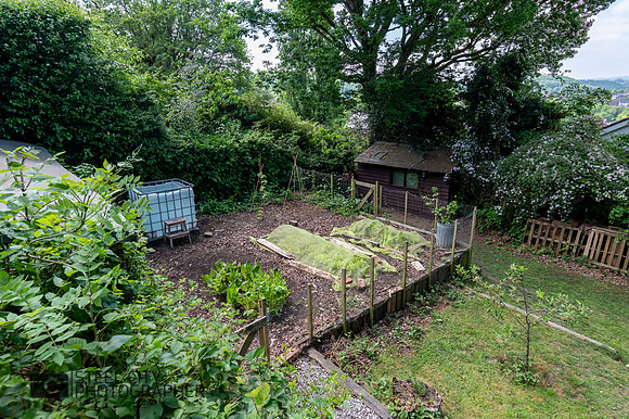 Z62_8886-HDR