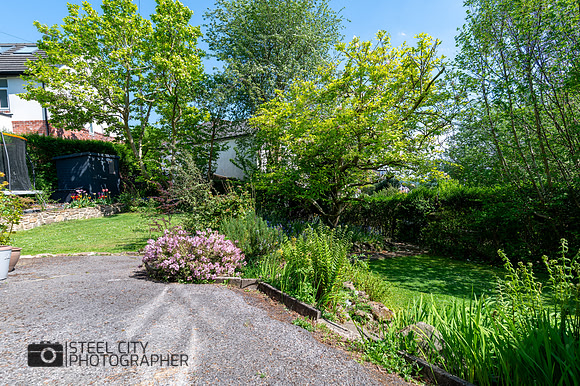 Z62_4728-HDR