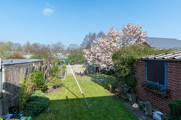 Z62_7163-HDR