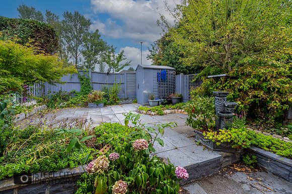 Z61_1815-HDR-Edit