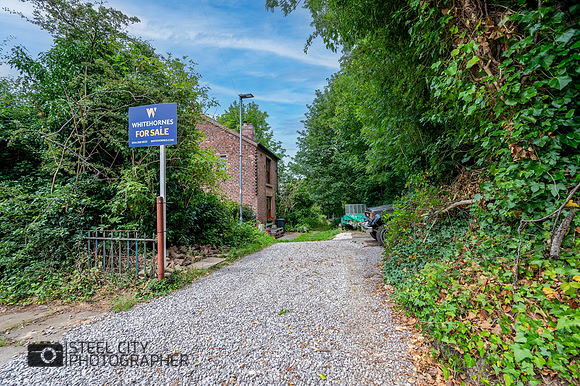 Z61_8877-HDR-Edit