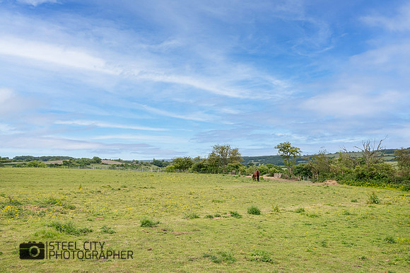 Z62_4022-Edit