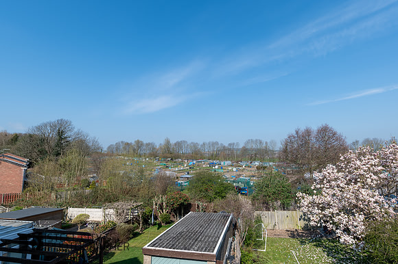 Z62_7269-HDR