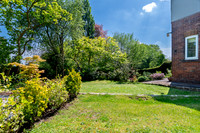 Z62_4740-HDR
