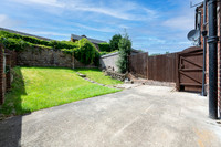 Z61_3187-Edit