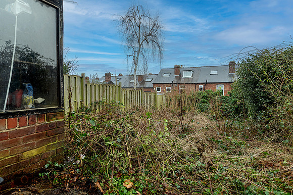 Z62_9704-HDR