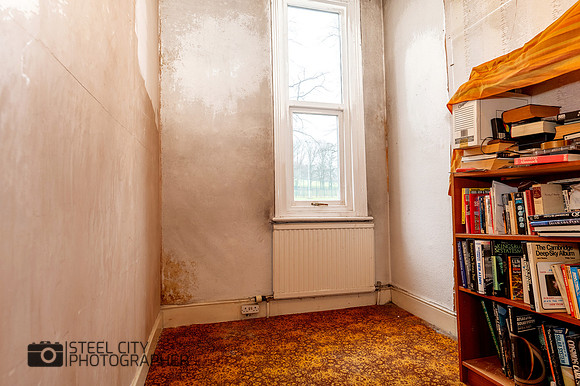 Z62_9669-HDR