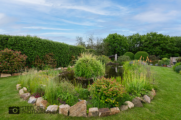Z62_3919-Edit