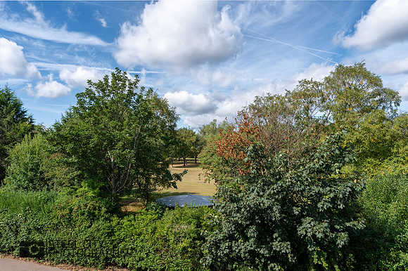 Z61_4870-HDR
