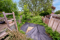 Z62_7304-Edit