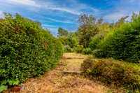 Z61_8399-HDR-Edit