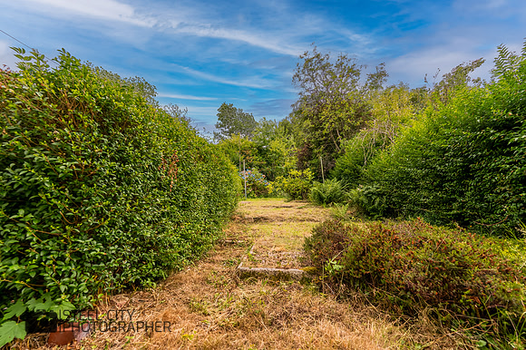 Z61_8399-HDR-Edit