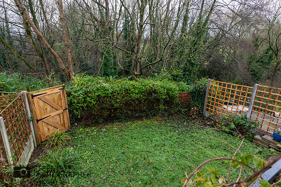 Z62_2749-HDR