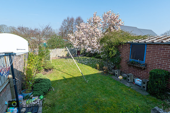 Z62_7166-HDR