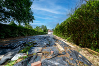 Z61_8039-HDR-Edit