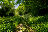 Z62_8841-HDR