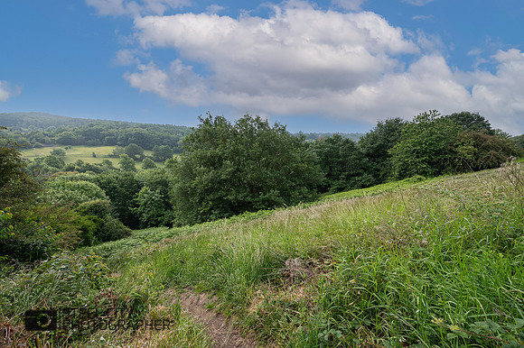 Z62_4558-Edit