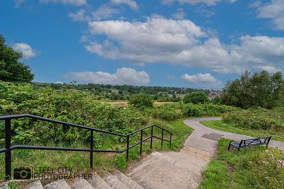 Z61_8349-HDR-Edit