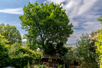 Z62_8856-HDR