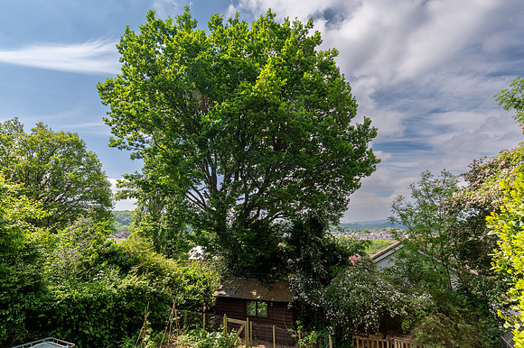Z62_8856-HDR