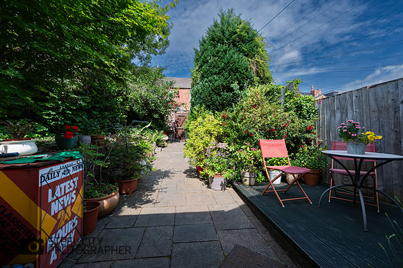 Z61_4936-HDR-2