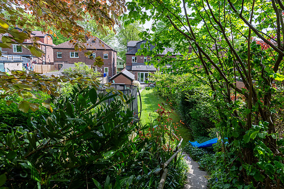 Z62_5329-HDR