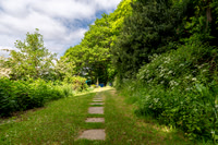 Z62_8835-HDR
