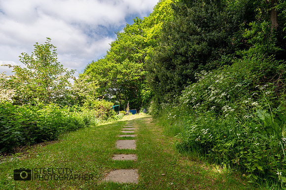 Z62_8835-HDR