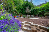 Z61_8904-HDR-Edit