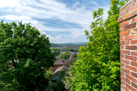 Z62_8901-HDR