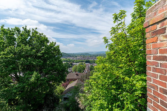 Z62_8901-HDR